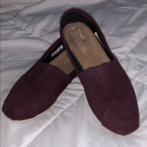 Maroon Toms